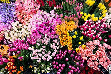 《怪物猎人崛起》Steam在线峰值打破记录 超19万人